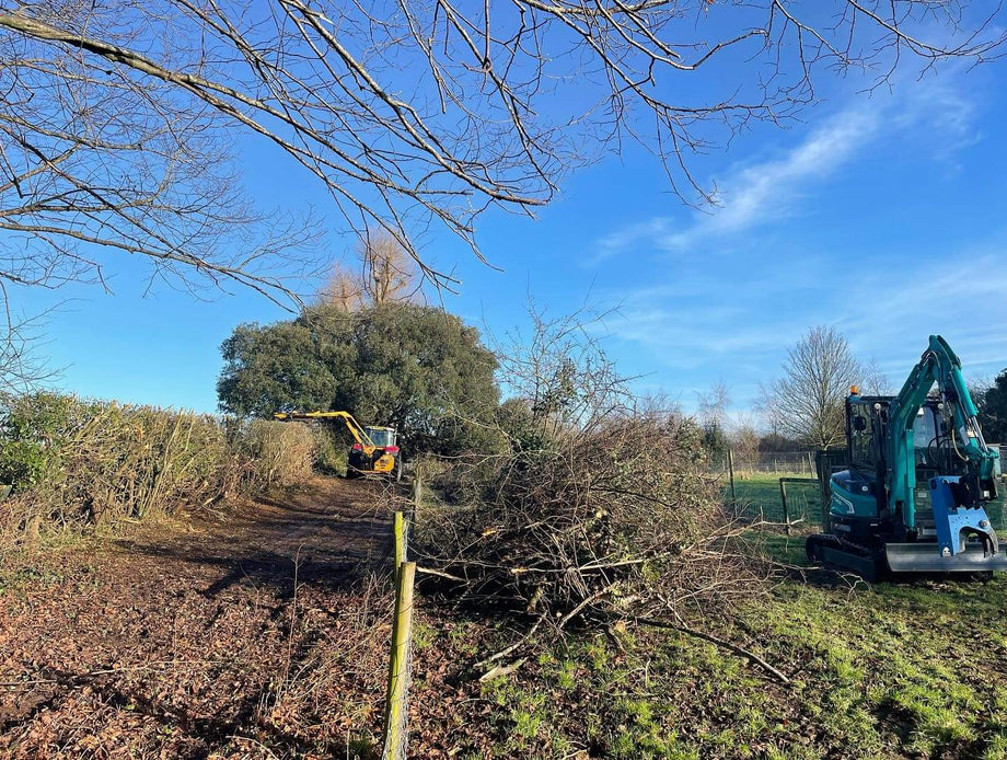 Alpha 200 Excavator Tree Shear - 2,200-11,000 lbs – JB Equipment Alpha 200 Excavator Tree Shear - 2,200-11,000 lbs – JB Equipment